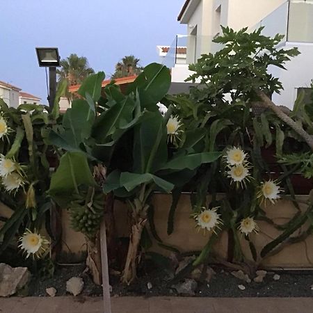 Carolyn Villa Ayia Napa Exterior foto